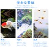 YAARUJEE Aquarium Fry Isolation Case, Medallion Box, Divider, Breeding Case,