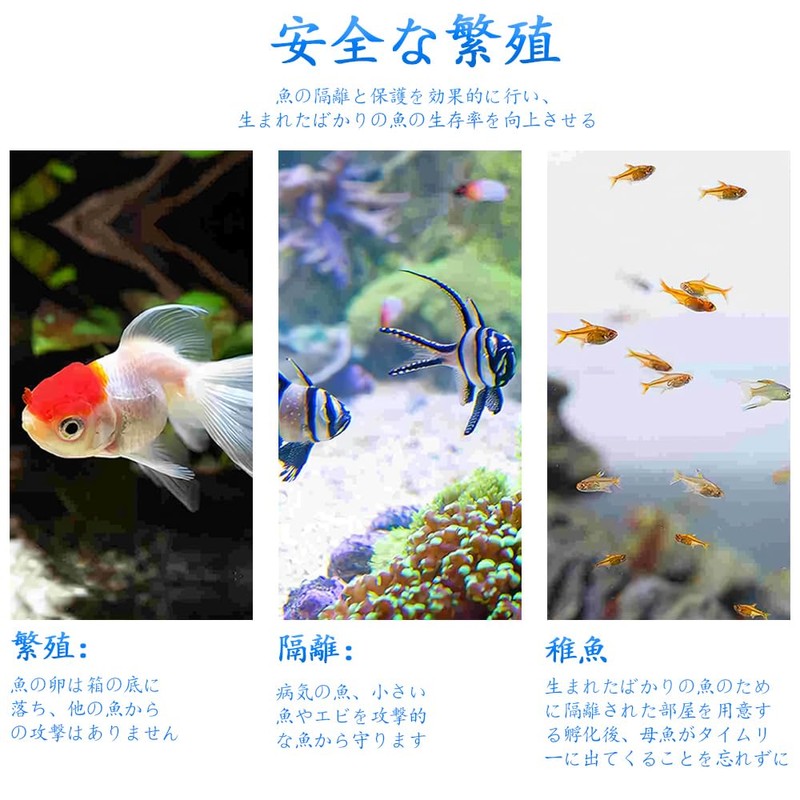 YAARUJEE Aquarium Fry Isolation Case, Medallion Box, Divider, Breeding Case,