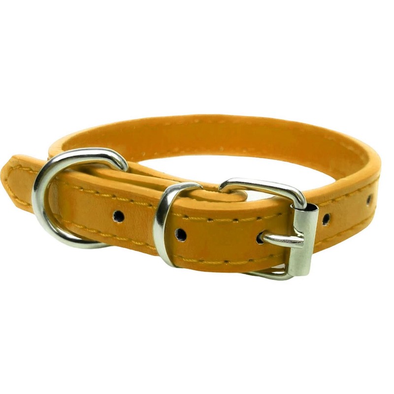 Vibrant Leather Dog Collar & Lead Combo Set for Puppy,