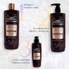 Anne Rothshield Shampoo Macadamia and Argan Oil 700Ml