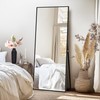 Grungis 64"x24" Full Length Mirror with Stand, Black Mirror Full