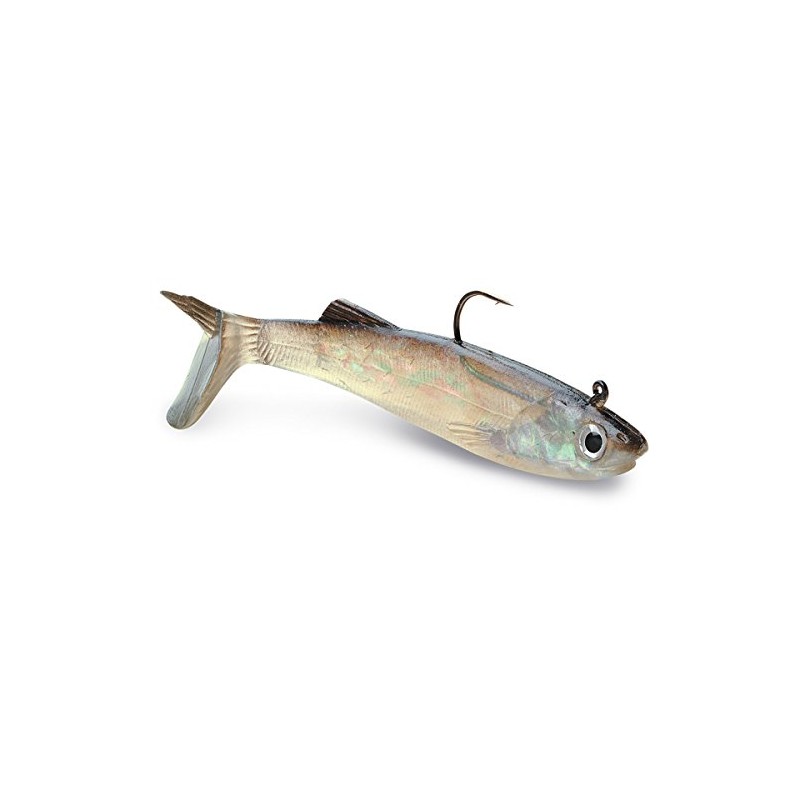 Wildeye Anchovy: 5"