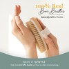 Belula Dry Brushing Body Brush Set - Natural Boar Bristle