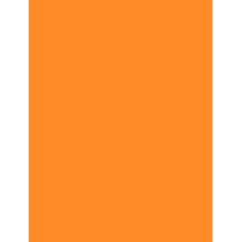 A4 Coloured Papers 80gsm Arts Craft Sheets Bright Pastel Neon Laser Inkjet Printers 100 Sheets (Bright Orange)