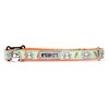 The Worthy Dog 21858-4011CAT Bunnies and Carrots Kawaii Adjustable Designer Pet Cat Collar, Mint Green, 10"