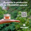 Serum Crema Regeneradora Iximulew Anti-edad con cido Hialurnico de Alto,