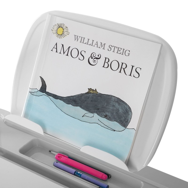 Mount-It! Accessory Kit for Height Adjustable-Kids-Desk | Includes LED-Lamp, Book