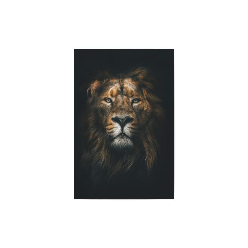 ArtboxONE Bundle Animals