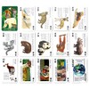 Carolata Playing Cards (Animal Quiz) Plastic Animal Educational Game Real