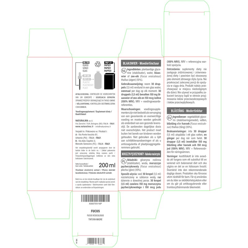 Bladder Tang (Fucus vesiculosus) Thallus (Alga) Alcohol-Free Mother Tincture Naturalma
