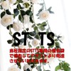 ST TS Rose Garland, Artificial Flowers, Silk Flowers, Home Decoration,