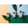 PG EcoAmour Organic Paper Cups 200 ml 8 oz Coffee