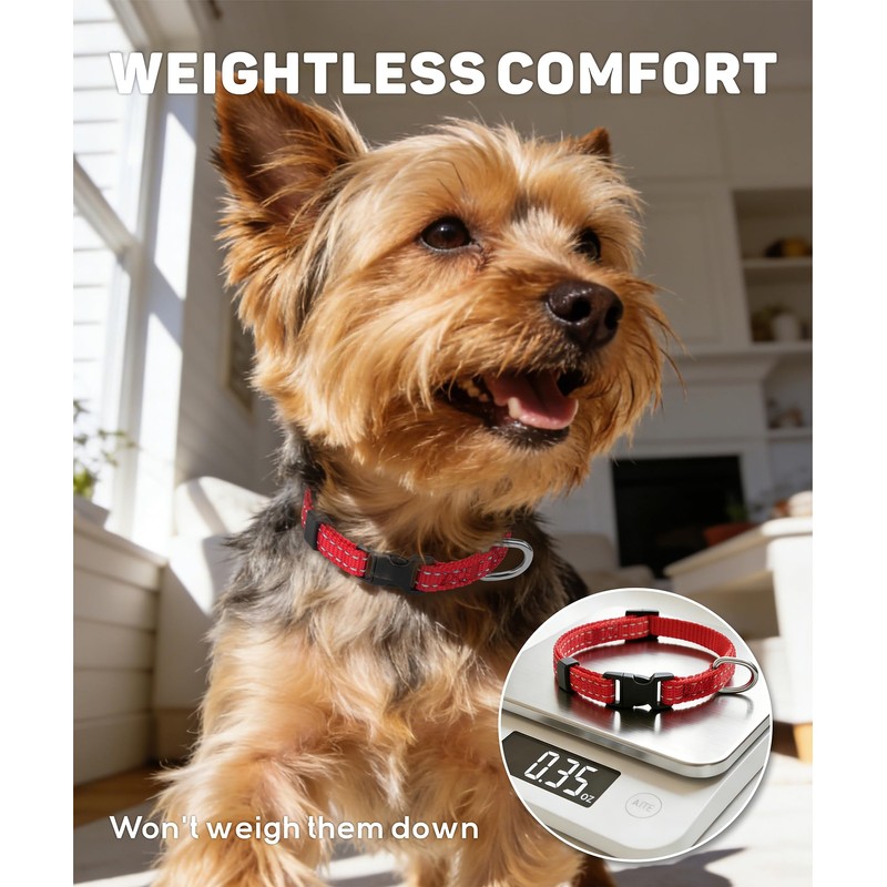 TagME Nylon Dog Collar, Adjustable Reflective Dog Collar with Safety