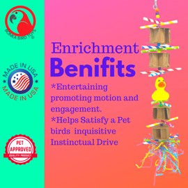 Bonka Bird Toys 3865 Party Duck Medium Large Bird Toy Cardboard Waffle Wood Forage Paper Chew Cockatiels Parakeets Conures and Other Similar Sized Birds