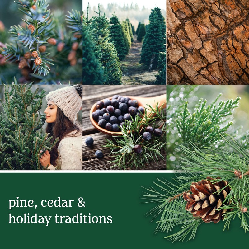 Yankee Candle Balsam & Cedar Concentrated Room Spray 3-Pack