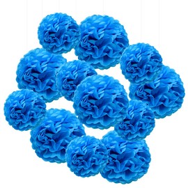 Hocansen 12Pcs Tissue Paper Pompoms 10/12in Paper Flower Ball for Birthdays and Special Occasions Party Hanging Decoration (10in+12in，Blue)