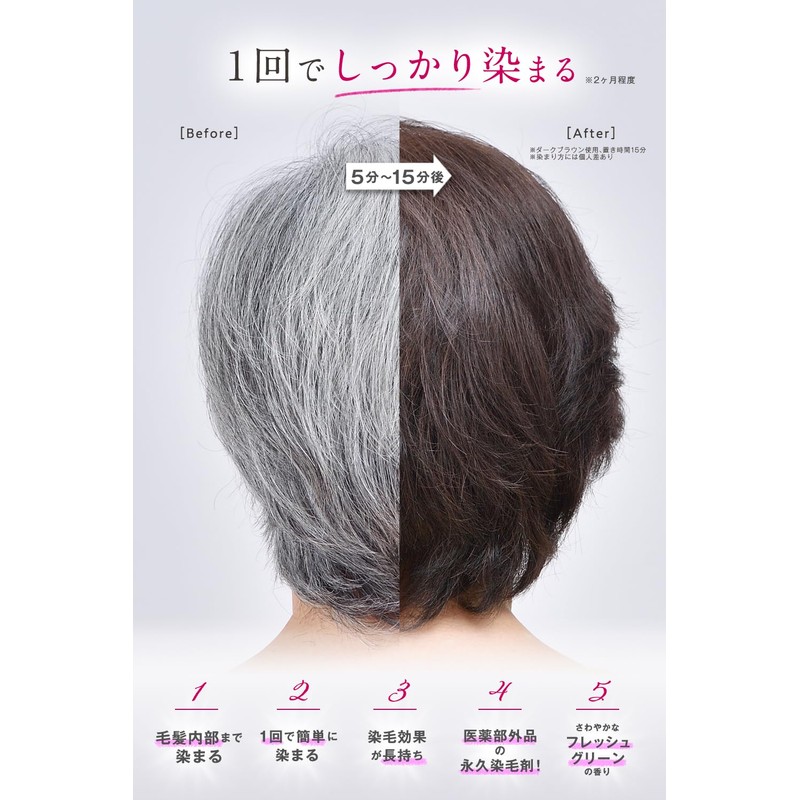 Hair Boteecra Botanical Air Color Foam EX Natural Black 5.3