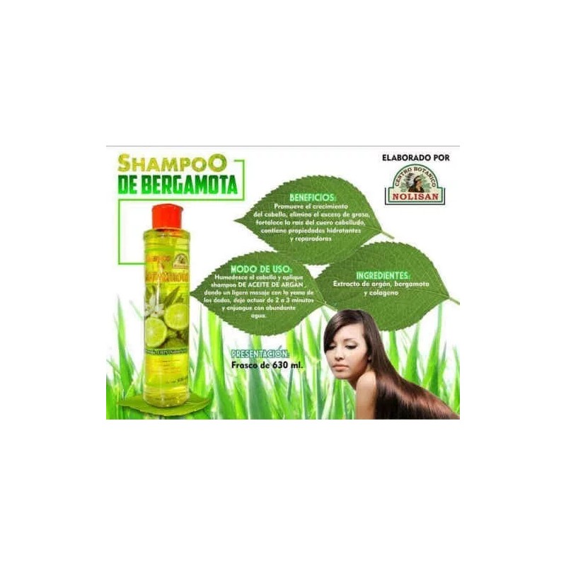 Nolisan 2 Shampoos Bergamota Nolisan 100% Natural Mas Envio Gratis