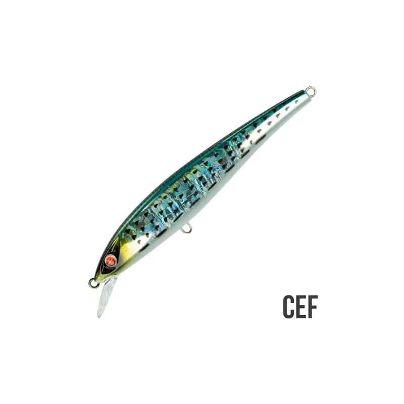 EJA 115 – Esca Artificiale per la Pesca a Spinning,