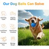 Interactive Dog Toy Ball, Automatic Moving, Bouncing Chew Toy, E-TPU