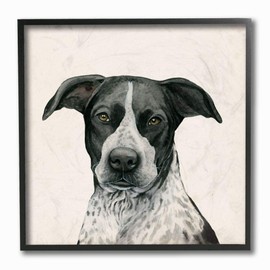 Stupell Industries Intriguing Dalmatian Mix Dog Breed Pet Portrait Wall Art, 12 x 12, Beige