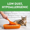 Feline Pine Platinum Non-Clumping Cat Litter, Feline Pine Cat Litter
