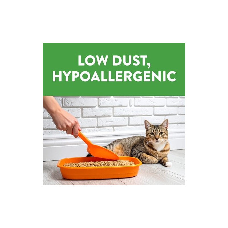 Feline Pine Platinum Non-Clumping Cat Litter, Feline Pine Cat Litter