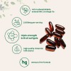 Krill Oil Antártico 2000 Mg 240 Softgels - Omega-3 Epadha