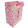 Holy Communion Gift Bag with Matching Gift Tag 23cm x