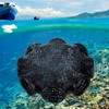 Trampa para Anguilas y Peces Grande de Plástico Negro con