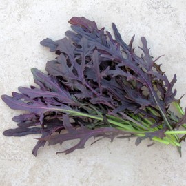 Mustard Seeds - Crimson Tide - 1 Lb ~120000 Seeds - Non-GMO, Heirloom - Vegetable Garden & Microgreens