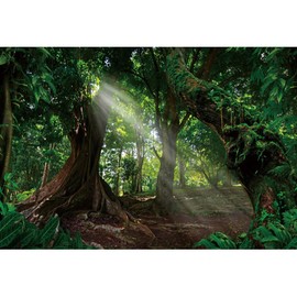 Ttincceer Forests Backdrop Huge Ancient Tree Jungle Early Morning Sunshine Photography Background 7x5FT Tropical RainForests Natural Scenery Photography Backdrop Studio Photography Props