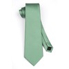 HISDERN Men's Tie Classic Plain Tie and Pocket Square Tie