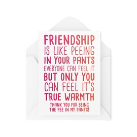 Funny Best Friend Cards, Bestie Card, Friendship Is Like Peeing in Your Pants, For Her Thank You Birthday Thank You Friends Joke CBH500