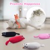 Legendog 5Pcs Bite Resistant Catnip Toy for Cats,Catnip Filled Cartoon