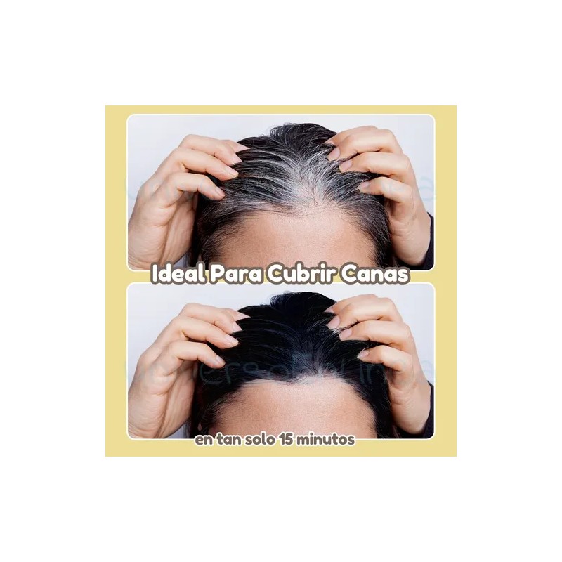 Paquete 10 Piezas Shampoo Tinte Color Negro Instantáneo 15min Cubre