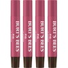 Burt's Bees Shimmer Lip Tint Set, Tinted Lip Balm Stick,