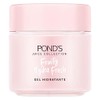 Pond's Cuidado Facial Fruity Hydra Fresh Sandía, Gel Hidratante, 110