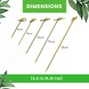 CANAPE KING Disposable Bamboo Skewers - Natural Fruit Sticks Reusable