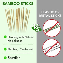 Taoskai 70 Pcs Bamboo Stakes, 3 Feet Natural Bamboo Garden Stakes for Plant, Garden Bamboo Plant Sticks for Plants Support, Tomato, Beans, Vegetable and Climbing Plants