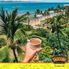 Yaucono Espresso Capsules, Espresso Roast, 100 Percent Coffee from Puerto