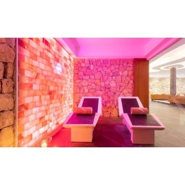 Salt PRO 8 Salt Tiles Himalayan Superior Brick 8x4x1 Spa Sauna Home Wall Decor AFFORDABLE