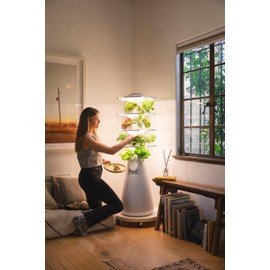 Lettuce Grow 24 inch Plant Dolly with Wheels, White, Indoor or Outdoor, Planter Caddy for Potted Plants, Farmstand and Nook and More, 4" Height 500lb max Capacity