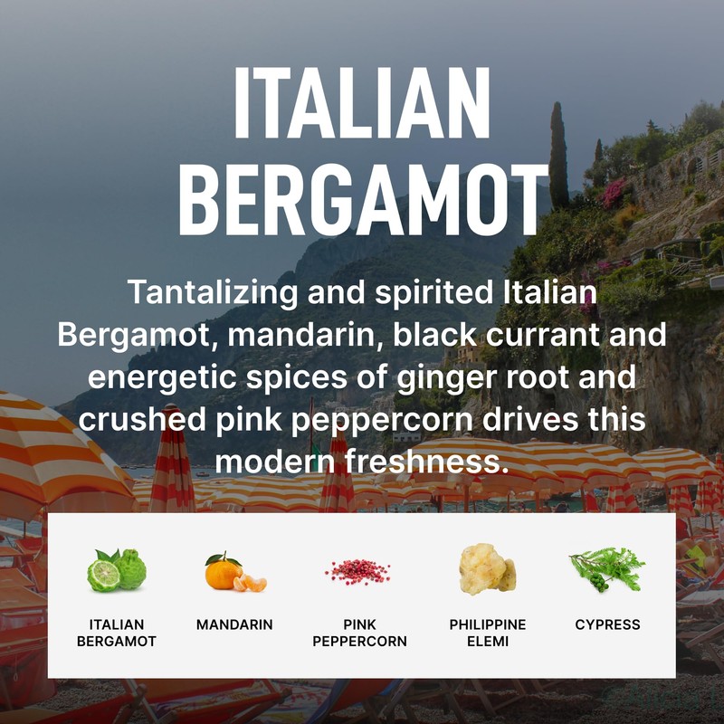 Laundry Sauce - Laundry Dryer Sheets (Italian Bergamot), Luxury Fragrance,