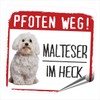 siviwonder Malta's Paws Path Small Car Dog Sticker Reflective Sticker