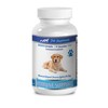 Heart Support for Dogs - Dogs Immune Support - Advanced