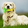 Carllg Puppy Teething Chew Toys, Dog Chew Toys - Corn