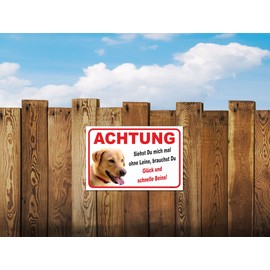 AdriLeo Sign - Caution Blonde Labrador Retriever - Without Lead - (15 x 20 cm) / Warning Dog Guard Dog Robust Durable UV-Resistant Weatherproof Warning Sign (Beige/Yellow)