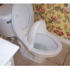 The Splatter Shield-potty training-potty protector-shie