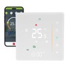 Jadeshay WiFi Thermostat Smart Thermostat for Combi Boiler Tuya App